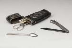 Petit étui médical de voyage avec 6 instruments miniaturisés : porte-mine,...
