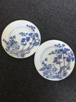 Deux ASSIETTES en porcelaine blan-bleu à décor floral. Chine, époque...