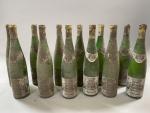 12B Blanc, Vin d'Alsace, Gewurztraminer, 1990, Kappler. Etiquettes tachées, niveaux...