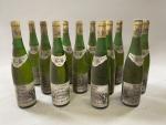 12B Blanc, Vin d'Alsace, Tokay Pinot gris, 1990, Kappler. Etiquettes...