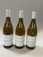 3B blanc Puligny Montrachet, 1994, Cuvée prestige, Antoine de Courchelle....