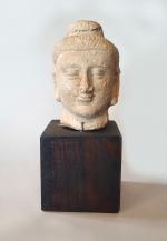 Tête en stuc, représentant le Bouddha. 
Art du gréco-bouddhique du...