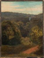 Paul Jean FLANDRIN (1811-1902).
Paysage.
Huile sur papier collé sur toile.
27 x...