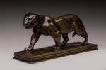 D'après Antoine Louis Barye (1796-1875) 
« Jaguar qui marche n°2...