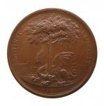 LOUIS XIV : Medaille de COLBERT en bronze par ROUSSEL...