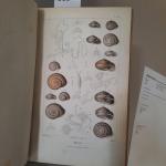 MOQUIN-TANDON Alfred, Histoire naturelle des mollusques terrestres et fluviatiles. Atlas...