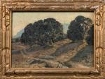 Auguste-Louis ROURE (1878-1936)
Paysage du Sud. 
Huile sur toile. 
Signé en...