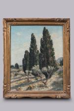 Auguste - Louis ROURE (1878-1936), 
Cyprès.
Huile sur toile 
Signé en...