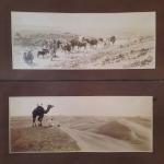 Alexandre I BOUGAULT (1851-1911) Deux photographies orientalistes " Bedouin dans...