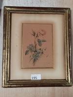 Alexandre THIERRAT
"Bouquet de rose"
Aquarelle signée en bas à droite et...