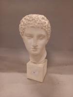 Un BUSTE "tête d'Achille",en plâtre patiné vers 1930-1940. H.43 cm...