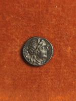 92 BC 
DENIER AELIA : Tête diadémée d'une déesse, BALA,...