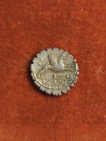 79 BC
DENIER SERRATUS PAPIA : Tête de JUNON SOSPITA Rv...