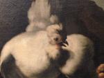 Atelier de Melchior de HONDECOETER (1636 - 1695). "Poule et...