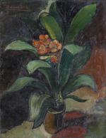Jean COMMERE (1920-1986). Plante fleurie. Huile sur toile. Signée en...