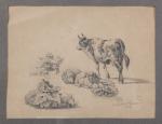 Jean Antoine DUCLAUX (Lyon, 1783-1868). Vaches, moutons, ânes et végétaux....